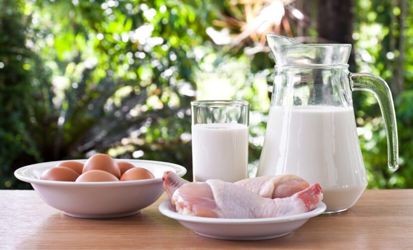 Bird Flu Outbreak: Can You Safely Eat Eggs, Chicken, and Dairy?