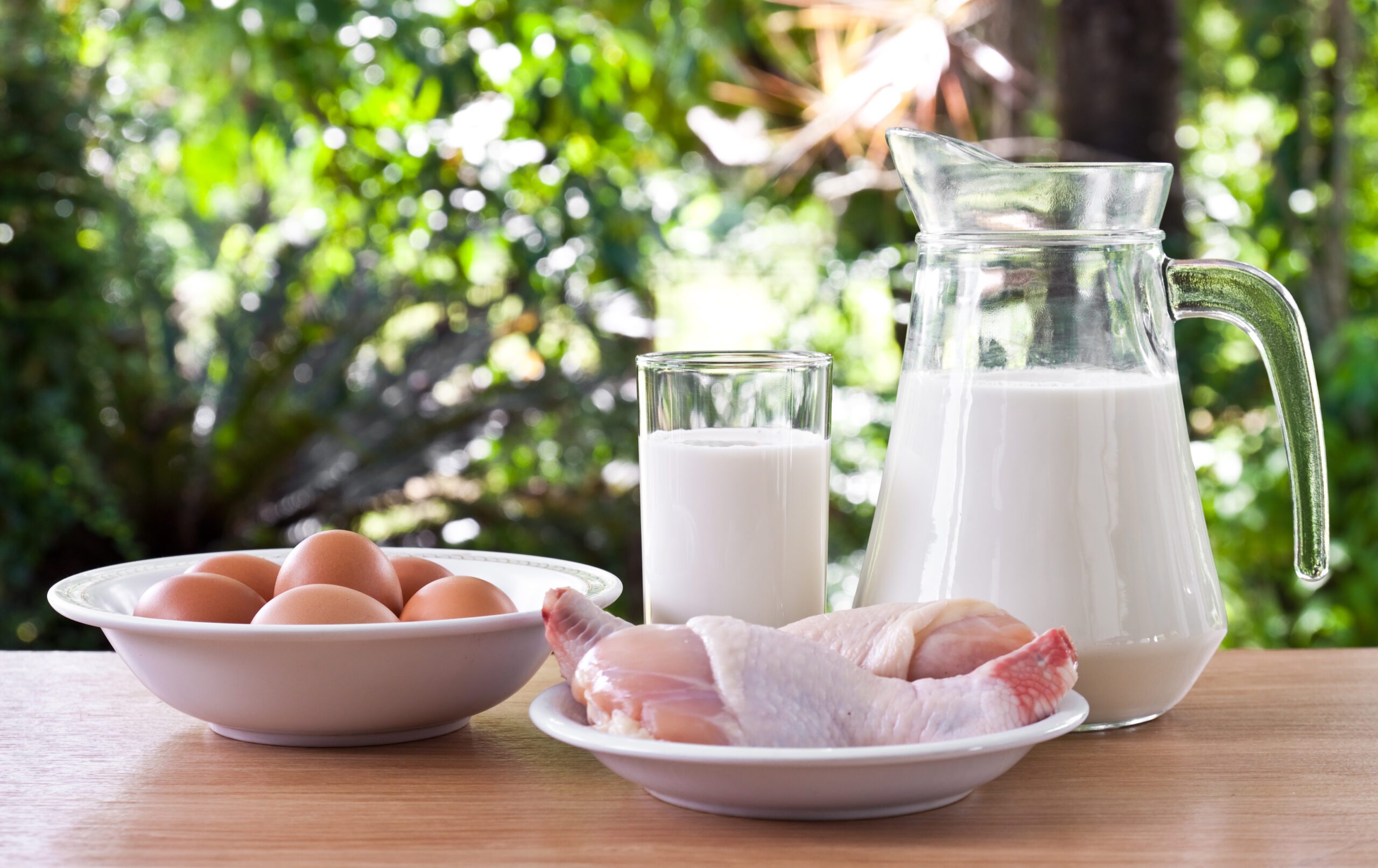 Bird Flu Outbreak: Can You Safely Eat Eggs, Chicken, and Dairy?